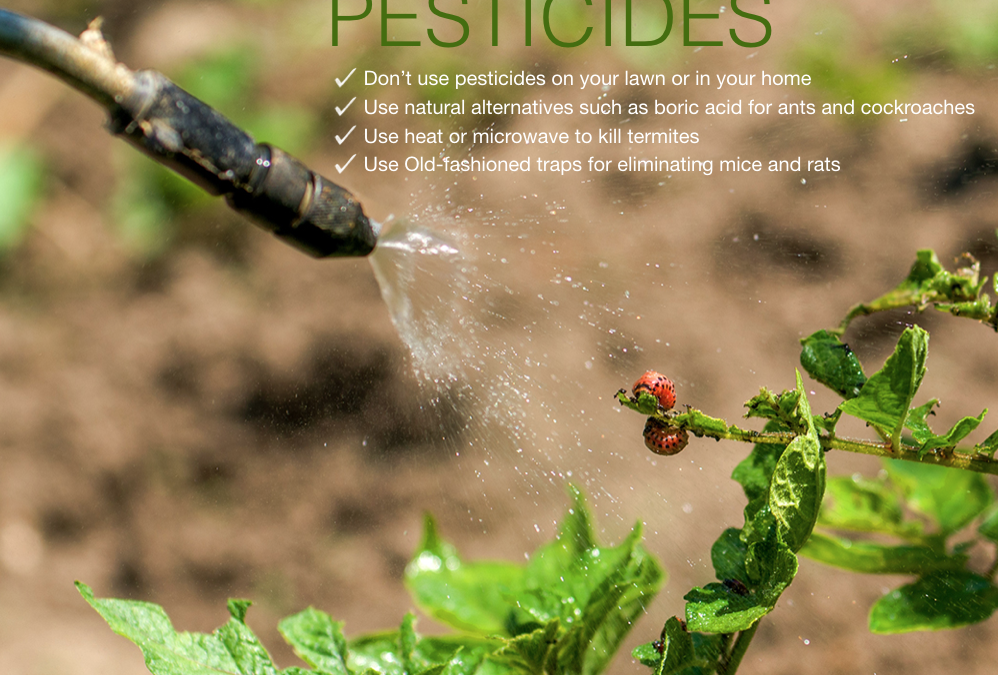 WHY THE EPA’s DIRECTION IS BAD FOR AMERICA